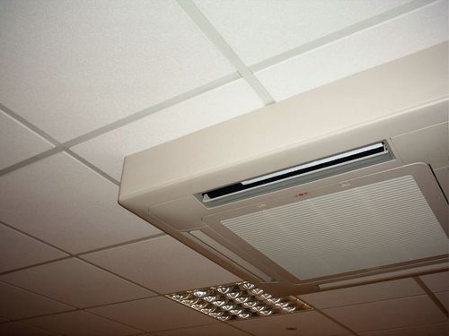 Click Here To Enlarge This Photo Of Toshiba 2 Collar